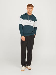 Jack & Jones Sweat à capuche Effet colour block -Magical Forest - 12266172