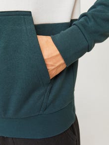 Jack & Jones Sweat à capuche Effet colour block -Magical Forest - 12266172