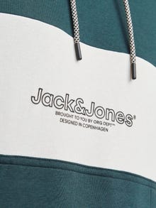 Jack & Jones Colour Blocking Kapuzenpullover -Magical Forest - 12266172