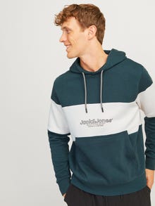 Jack & Jones Hoodie -Magical Forest - 12266172