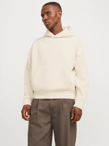 Jack & Jones Bluza z kapturem -Moonbeam - 12266802