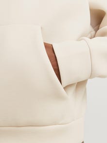 Jack & Jones Plain Hoodie -Moonbeam - 12266802