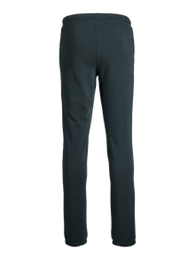 Jack & Jones Pantalon de survêtement Loose Fit Junior -Forest River - 12267461