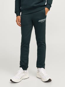 Jack & Jones Pantalon de survêtement Loose Fit Junior -Forest River - 12267461