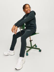 Jack & Jones Pantalon de survêtement Loose Fit Junior -Forest River - 12267461
