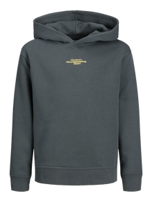 Jack & Jones Printed Hoodie Junior -Urban Chic - 12267481