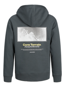 Jack & Jones Printed Hoodie Junior -Urban Chic - 12267481