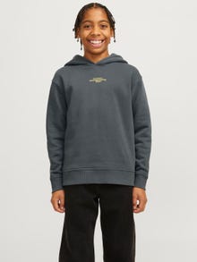 Jack & Jones Printed Hoodie Junior -Urban Chic - 12267481