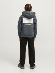 Jack & Jones Printed Hoodie Junior -Urban Chic - 12267481