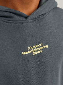 Jack & Jones Spausdintas raštas Džemperis Jaunimui -Urban Chic - 12267481