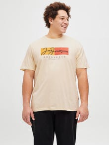Jack & Jones Shop den Look - 2111203019