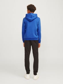 Jack & Jones Logotipas Džemperis -Lapis Blue - 12268039