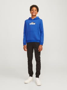 Jack & Jones Logotipas Džemperis -Lapis Blue - 12268039