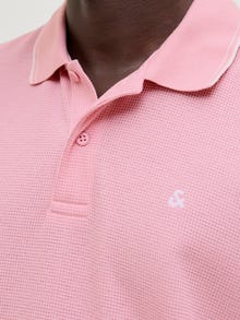 Jack & Jones Logotipas Marškinėliai -Pink Nectar - 12268130