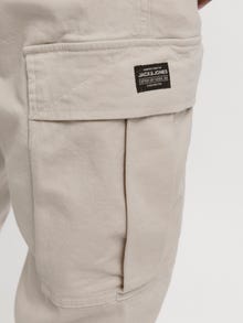Jack & Jones Relaxed Fit Relaxed fit -housut -Moonbeam - 12268364
