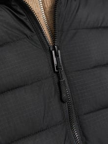 Jack & Jones Consigue el look - 1908203977