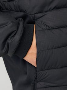 Jack & Jones Consigue el look - 1908203977