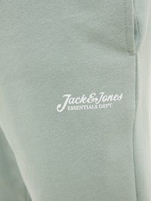 Jack & Jones Krój regularny Szorty -Iceberg Green - 12268770