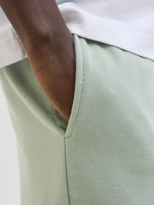 Jack & Jones Krój regularny Szorty -Iceberg Green - 12268770