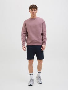 Jack & Jones Shorts Corte regular -Sky Captain - 12268770