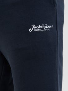 Jack & Jones Shorts Corte regular -Sky Captain - 12268770