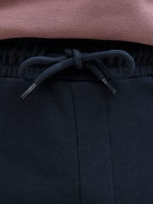 Jack & Jones Shorts Corte regular -Sky Captain - 12268770