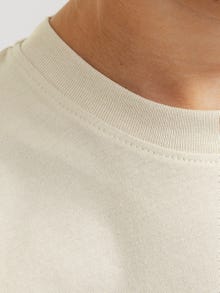 Jack & Jones Shop den Look - 1908204204