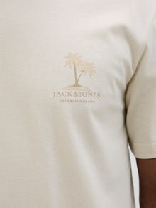 Jack & Jones Shop den Look - 2111203582