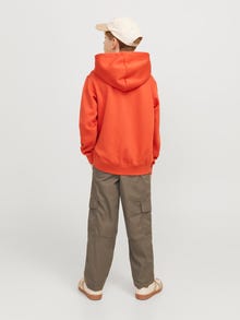 Jack & Jones Labavo fit pantalone JUNIORE -Morel - 12269492