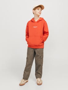 Jack & Jones Labavo fit pantalone JUNIORE -Morel - 12269492