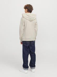Jack & Jones Logotipas Džemperis Jaunimui -Moonbeam - 12269854