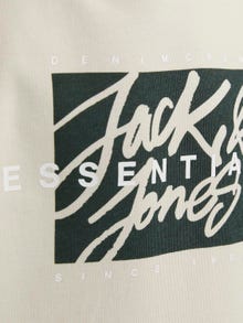 Jack & Jones Logotipas Džemperis Jaunimui -Moonbeam - 12269854