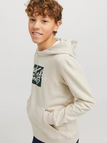 Jack & Jones Logotipas Džemperis Jaunimui -Moonbeam - 12269854