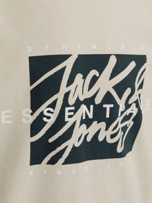 Jack & Jones Z logo T-shirt Junior -Moonbeam - 12269876