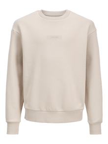 Jack & Jones Spausdintas raštas Megztiniai Jaunimui -Moonbeam - 12269878