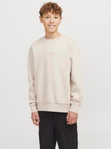 Jack & Jones Spausdintas raštas Megztiniai Jaunimui -Moonbeam - 12269878