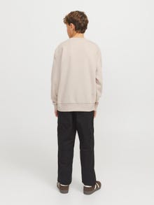 Jack & Jones Spausdintas raštas Megztiniai Jaunimui -Moonbeam - 12269878