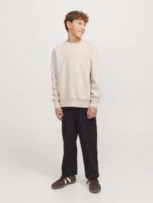 Jack & Jones Sweatshirt Estampar Junior -Moonbeam - 12269878