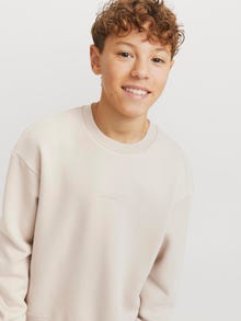 Jack & Jones Spausdintas raštas Megztiniai Jaunimui -Moonbeam - 12269878