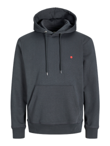 R.D.D. ROYAL DENIM DIVISION RDD Sudadera con capucha Estampado -Black Sand - 12270042