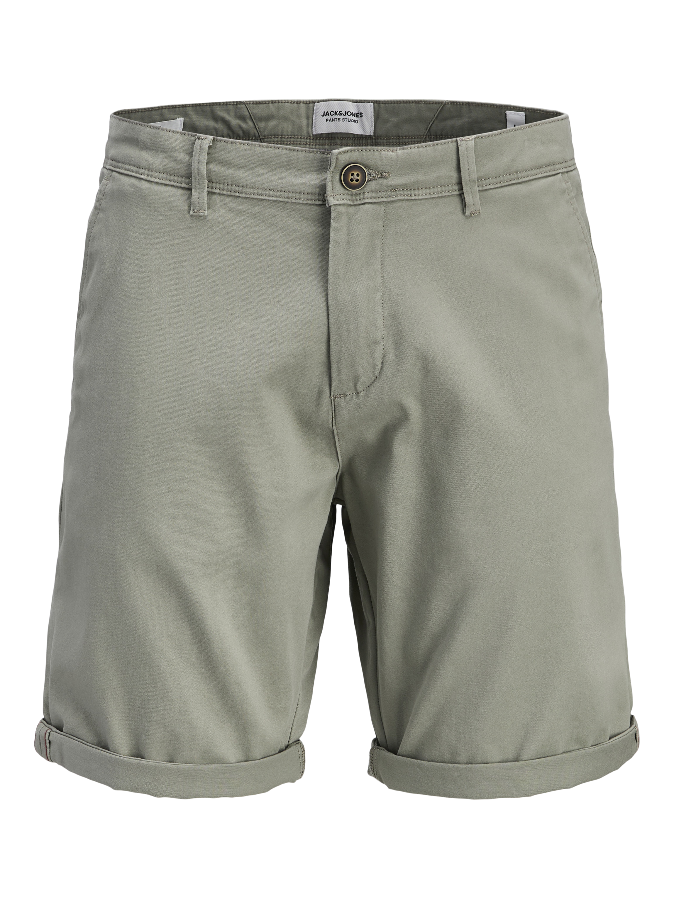 Plus Size Regular Fit Chino Shorts