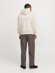 Jack & Jones Sweat à capuche Imprimé -Moonbeam - 12270475