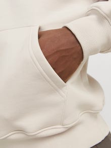 Jack & Jones Printed Hoodie -Moonbeam - 12270475