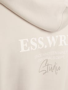 Jack & Jones Sweat à capuche Imprimé -Moonbeam - 12270475