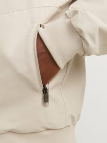 Jack & Jones Bomber striukė -Moonbeam - 12270682