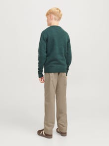 Jack & Jones Parašiutinės kelnės Jaunimui -Crockery - 12270817