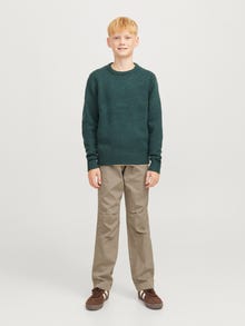 Jack & Jones Parašiutinės kelnės Jaunimui -Crockery - 12270817