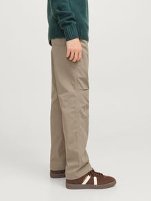 Jack & Jones Parašiutinės kelnės Jaunimui -Crockery - 12270817