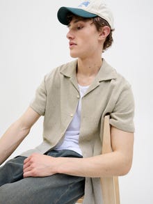 Jack & Jones Laisvas kirpimas Marškiniai -Silver Sage - 12271060