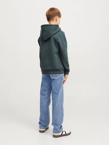Jack & Jones Spausdintas raštas Džemperis Jaunimui -Urban Chic - 12271328